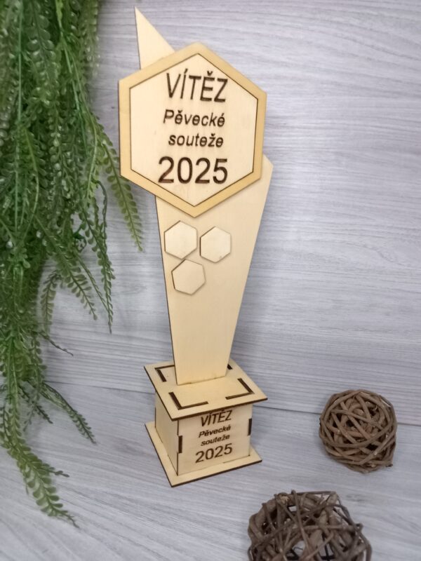 Dřevěný pohár pro vítěze